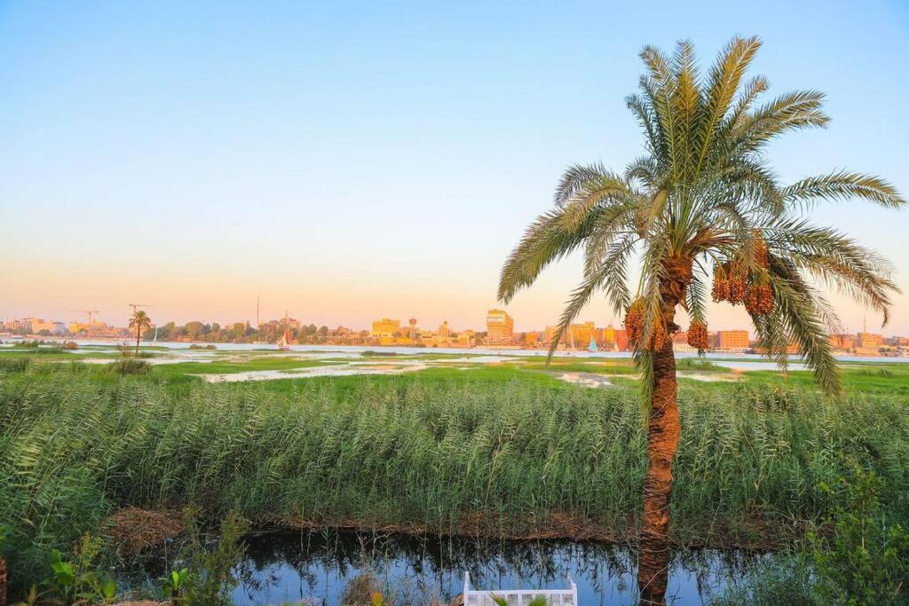 Royal Nile Villa - Nile View Apartment 1 樂蜀 外观 照片