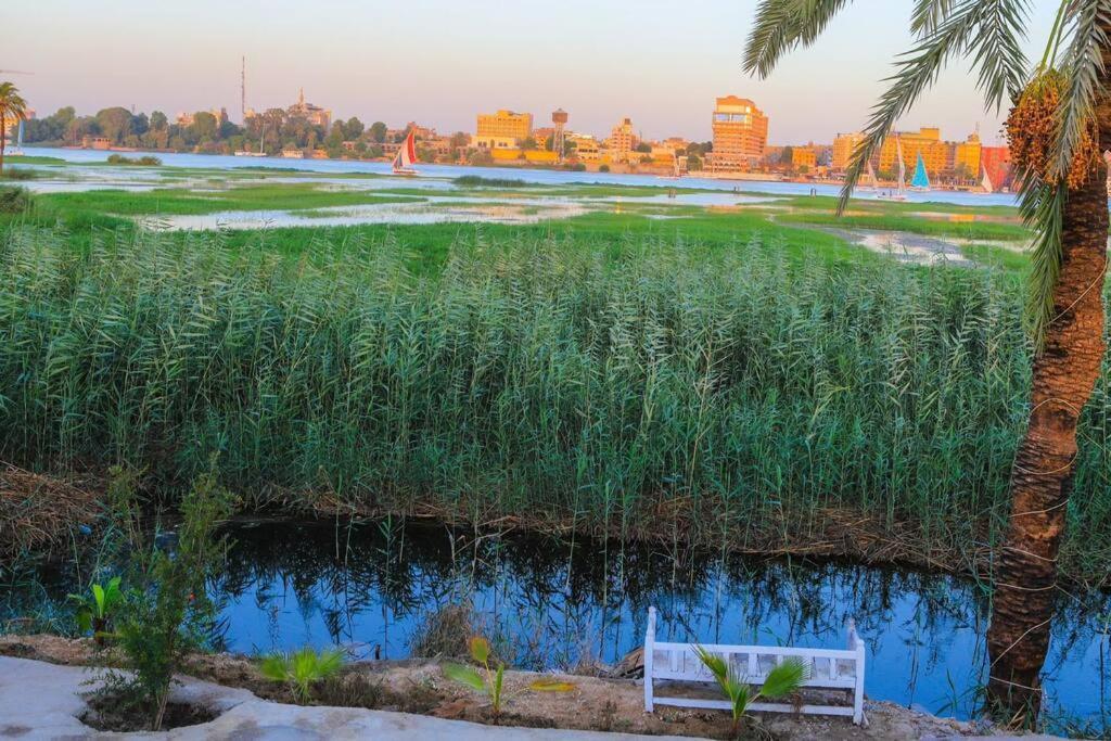 Royal Nile Villa - Nile View Apartment 1 樂蜀 外观 照片
